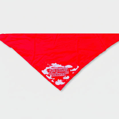 Le foulard - Zapia ®ZE POLITA